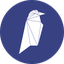 coin icon